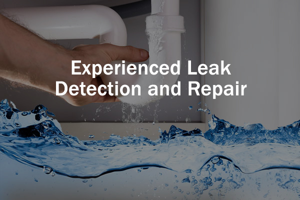 Experienced Leak Detection and Repair