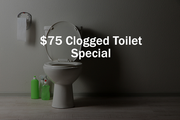 75 Dollar Clogged Toilet Special Discount Plumber Minneapolis Minnesota