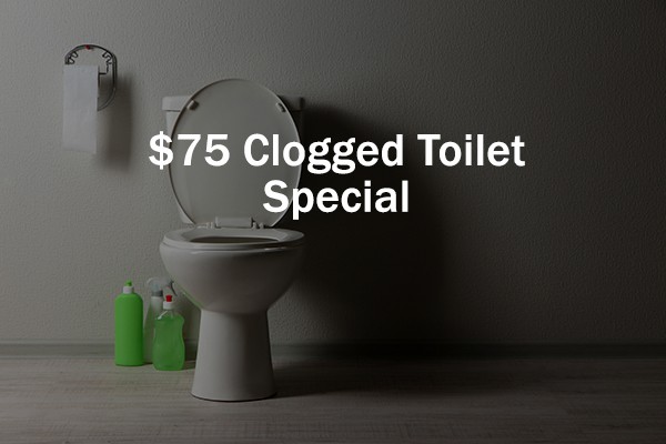 75 Dollar Clogged Toilet Special
